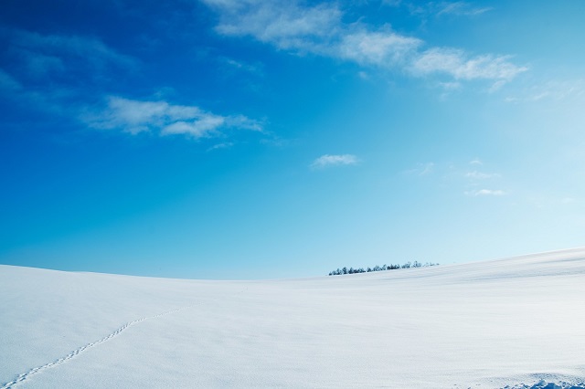 真冬の雪原