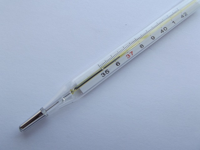 熱を測る体温計