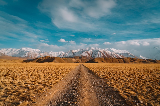 砂漠の道