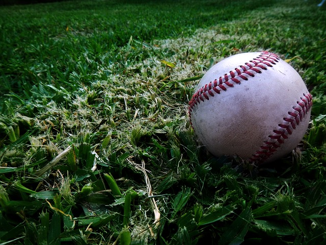 芝に転がる野球ボール