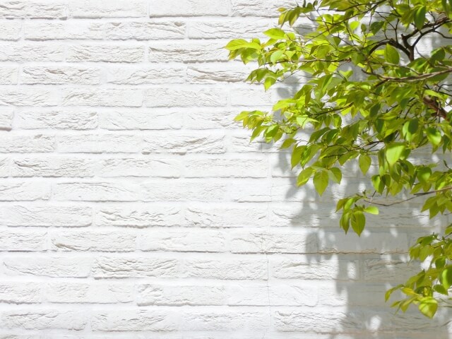 白いレンガの家の外壁と木の葉っぱ
